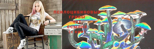 мдма Козельск