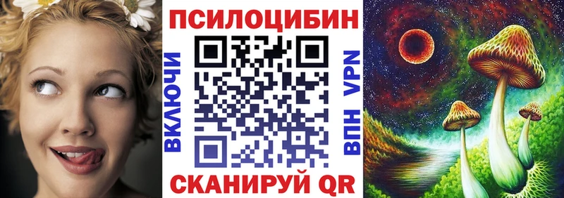 Купить где  Салаир  Псилоцибиновые грибы Psilocybine cubensis 